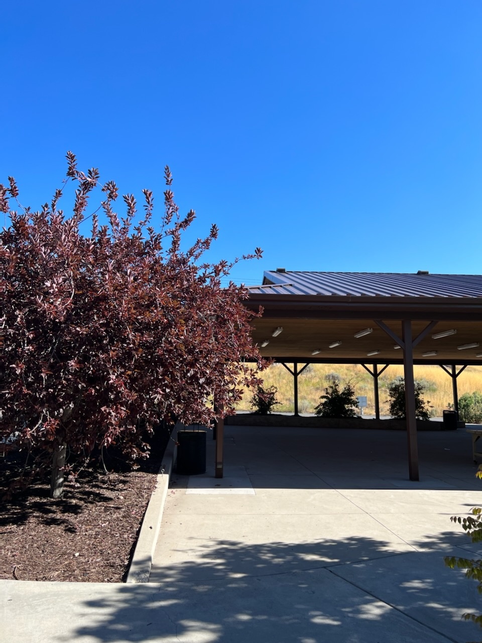 Parks Arts and Recreation Image